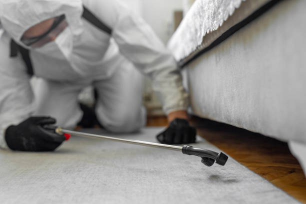 Professional Cockroach Control technician working in Audubon County County, IA